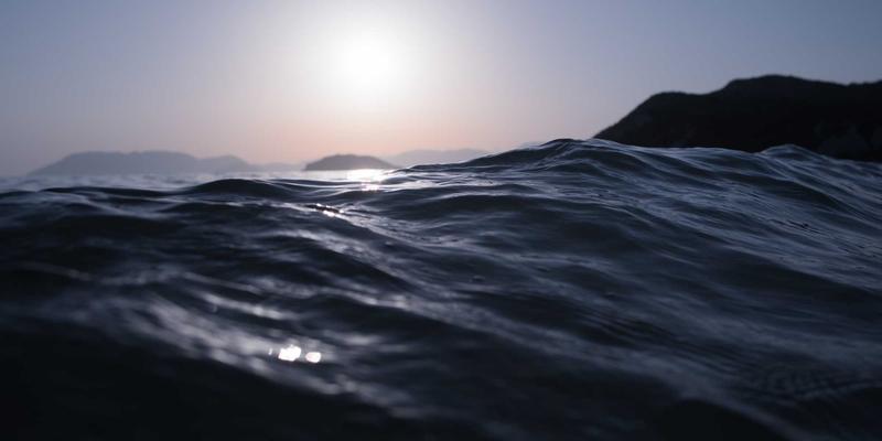 从人体到星际:生物芯片如何重塑精准医疗的未来趋势