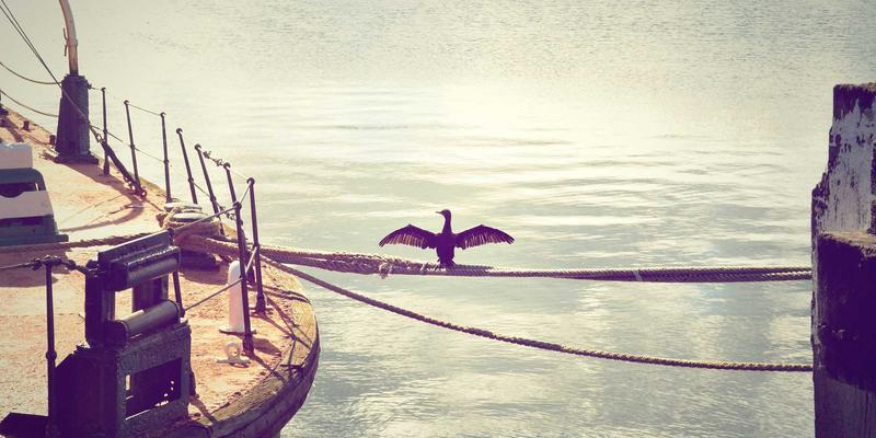 基因回路：AI驱动的合成生物学如何重塑生物制造与碳捕获的未来