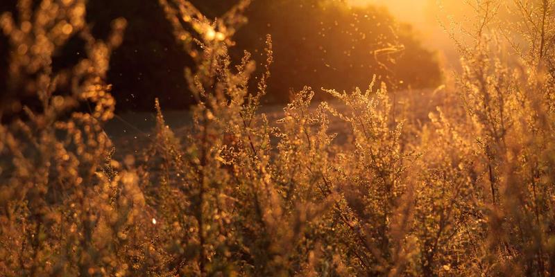 当边缘遇见云端:协同架构如何重塑未来计算,量子计算将扮演什么角色?