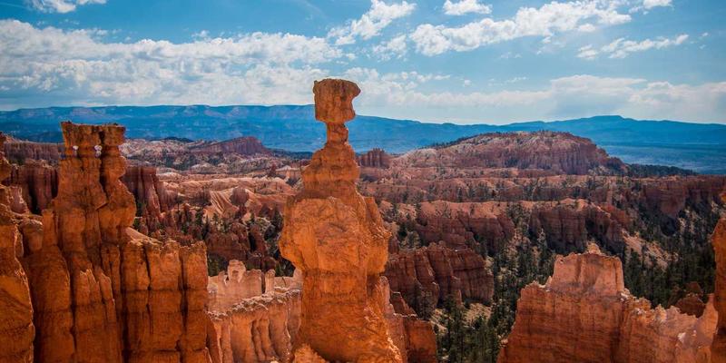 柔性电子皮肤：当AI与生物科技融合，重塑医疗与机器人触觉的未来
